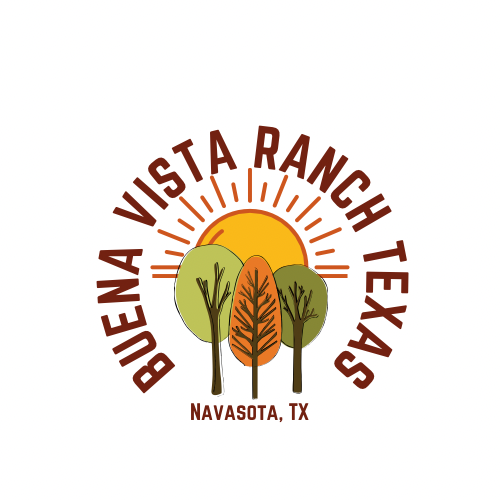 Buena Vista Ranch Texas